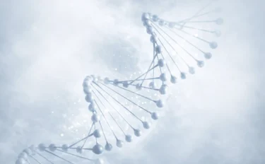 ハイスループットなゲノムDNA切断技術の原理と応用例を解説